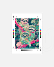 Sloth Trio