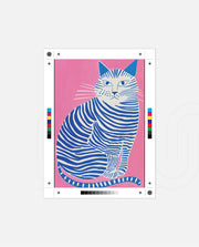 Stripe Whiskers