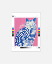 Stripe Whiskers