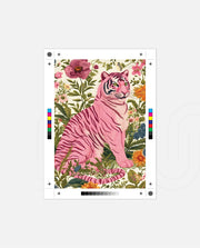 Blush Tiger Bloom