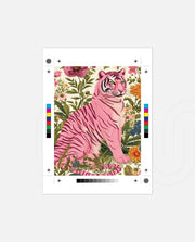Blush Tiger Bloom