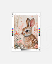 Blush Bunny Garden
