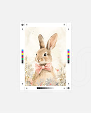 Bowtie Bunny Bloom