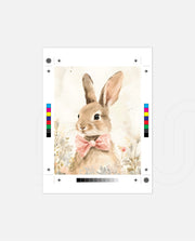Bowtie Bunny Bloom