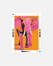 Neon Elephant Pop