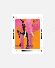 Neon Elephant Pop