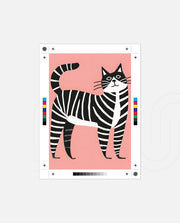 Zebra Stripe Cat
