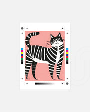 Zebra Stripe Cat
