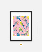 Pastel Parakeet Party