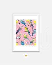 Pastel Parakeet Party