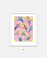 Pastel Parakeet Party