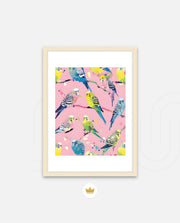 Pastel Parakeet Party