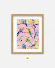 Pastel Parakeet Party