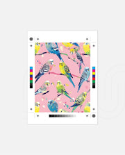 Pastel Parakeet Party