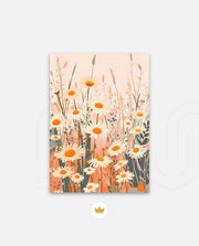 Blush Daisy Meadow