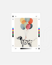 Dalmatian Balloon Dream