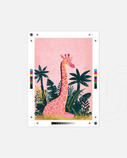 Blush Jungle Giraffe