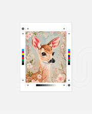 Blush Blossom Fawn