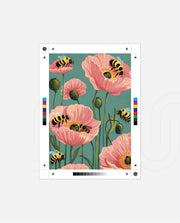 Honeybloom Poppy