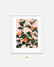 Coral Camellia