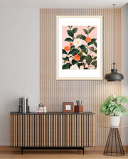 Coral Camellia
