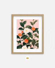 Coral Camellia