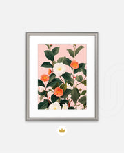 Coral Camellia