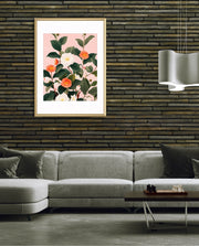 Coral Camellia