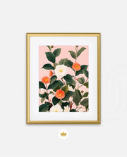 Coral Camellia