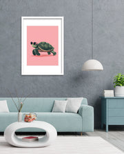 Pink Shell Walker