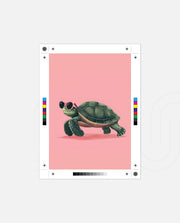 Pink Shell Walker