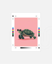 Pink Shell Walker