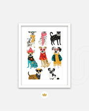 Fashion Paws Parade