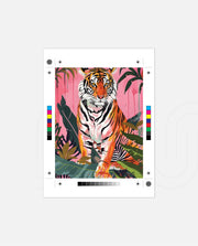 Tropical Tiger Bloom
