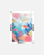 Coral Ocean Drift