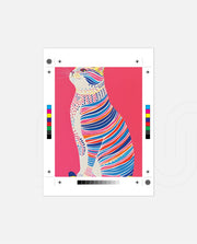 Neon Stripe Cat