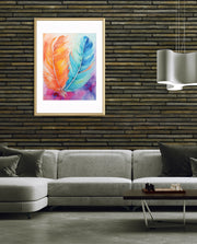 Color Feathers