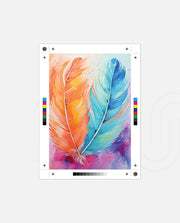 Color Feathers