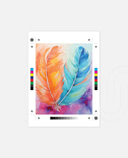 Color Feathers