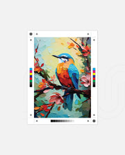 Color Bird