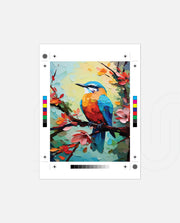 Color Bird