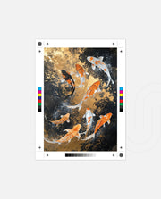Golden Koi