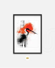Crane Splash