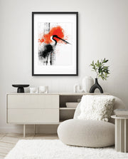 Crane Splash