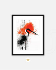 Crane Splash