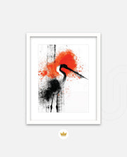 Crane Splash