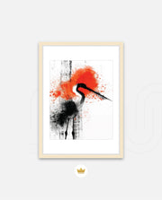Crane Splash