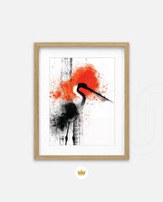 Crane Splash