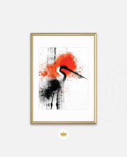 Crane Splash