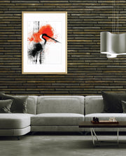 Crane Splash